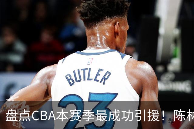 盘点CBA本赛季最成功引援！陈林坚第五，庞老六第四，徐昕第三，张镇麟第二，总决赛MVP第一！
